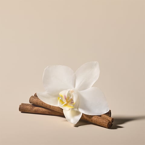 Victoria's Secret Body Care – Victoria's Secret