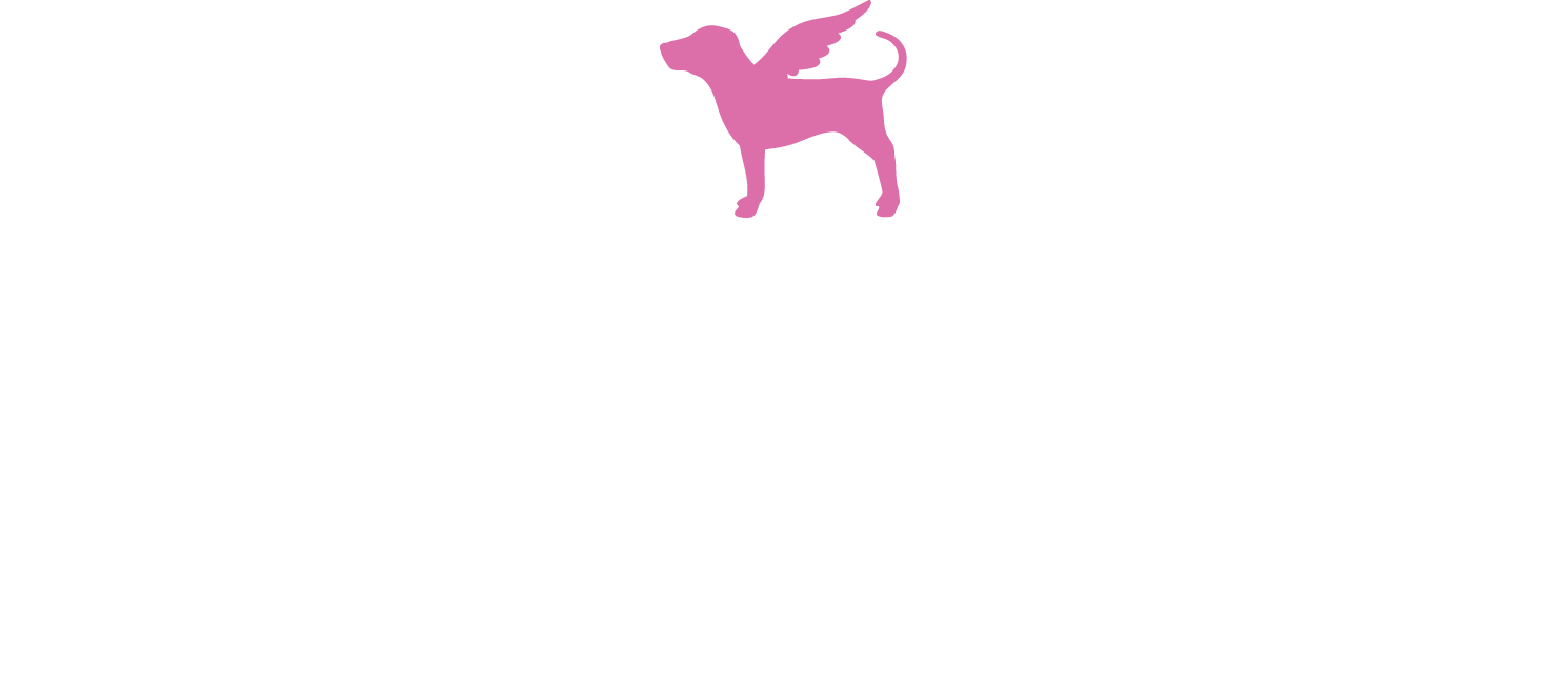PINK – Victoria's Secret